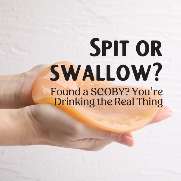Spit or Swallow? A Sign of Real Kombucha