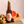 Grapefruit Ginger