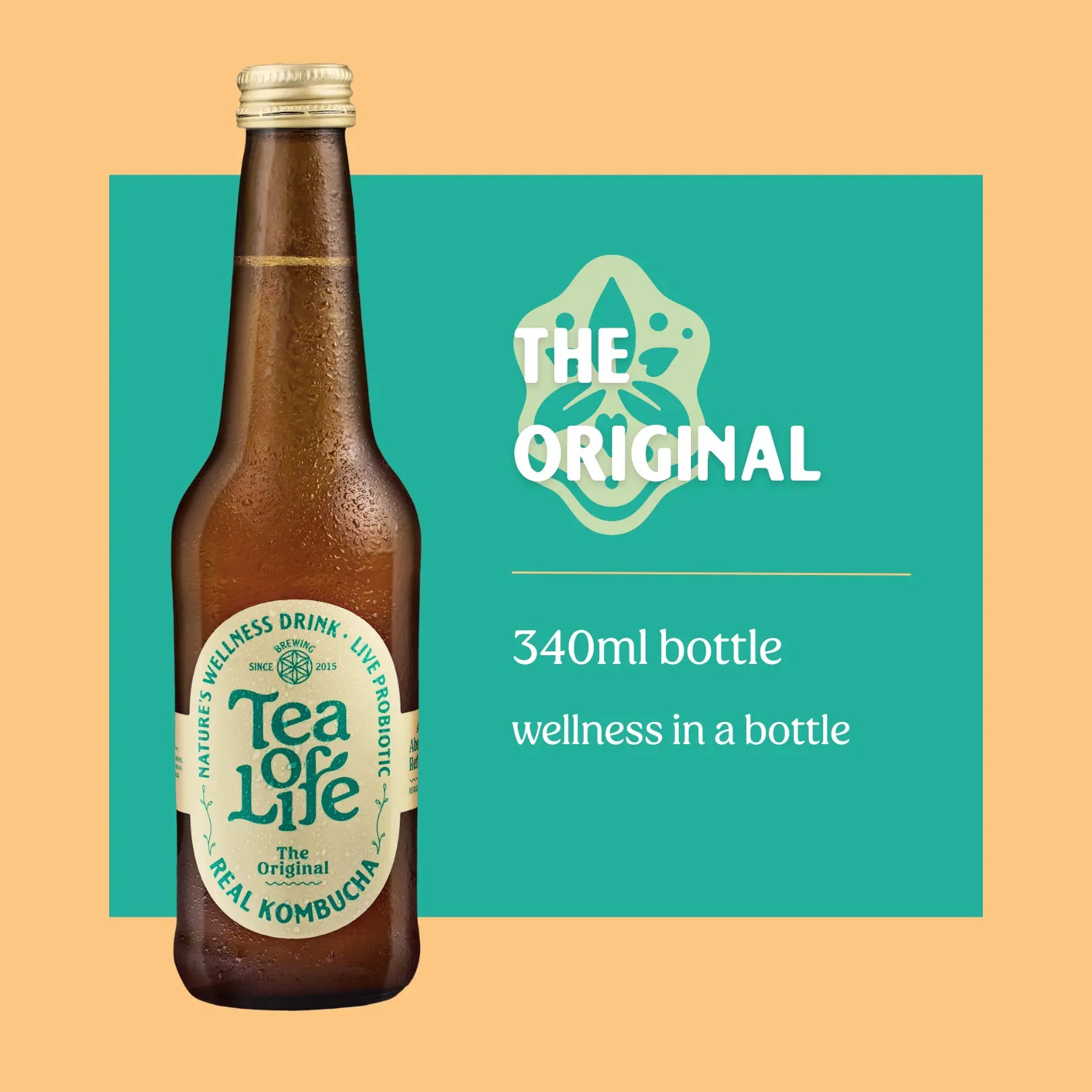 The Original Kombucha