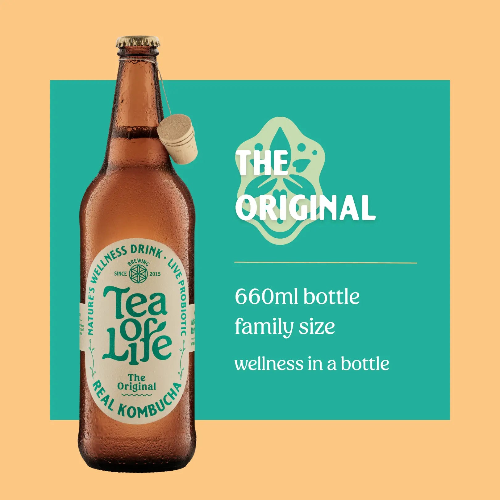 Original Family Size Kombucha