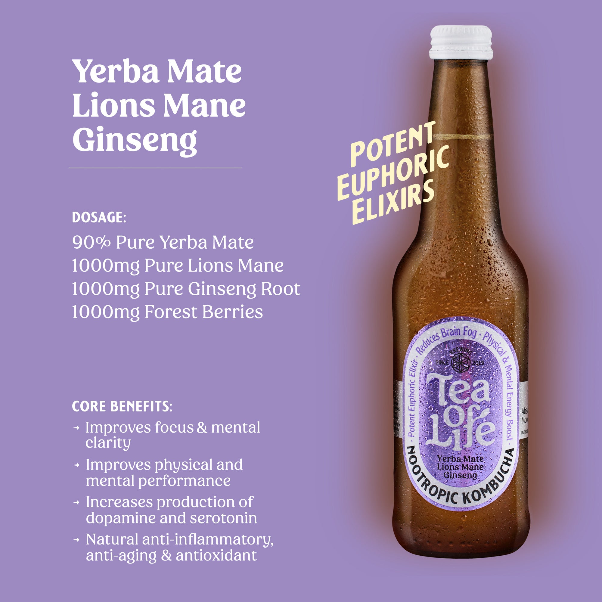 Yerba Mate Lions Mane Ginseng