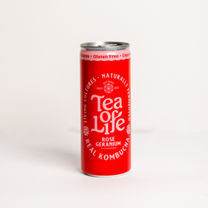 Kombucha Cans — Mixed 6-Pack