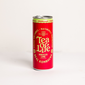 Kombucha Cans — Mixed 6-Pack