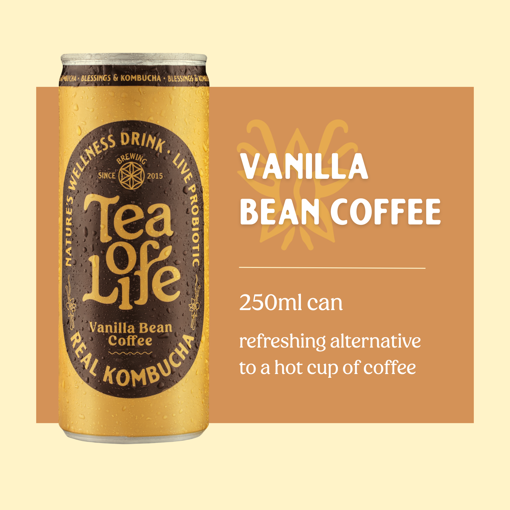 Vanilla Bean Coffee Kombucha