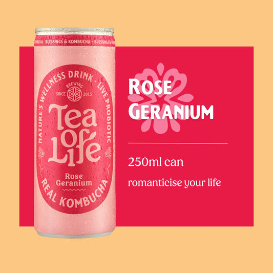 Rose Geranium Kombucha