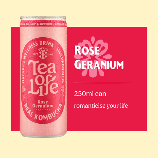 Rose Geranium Kombucha