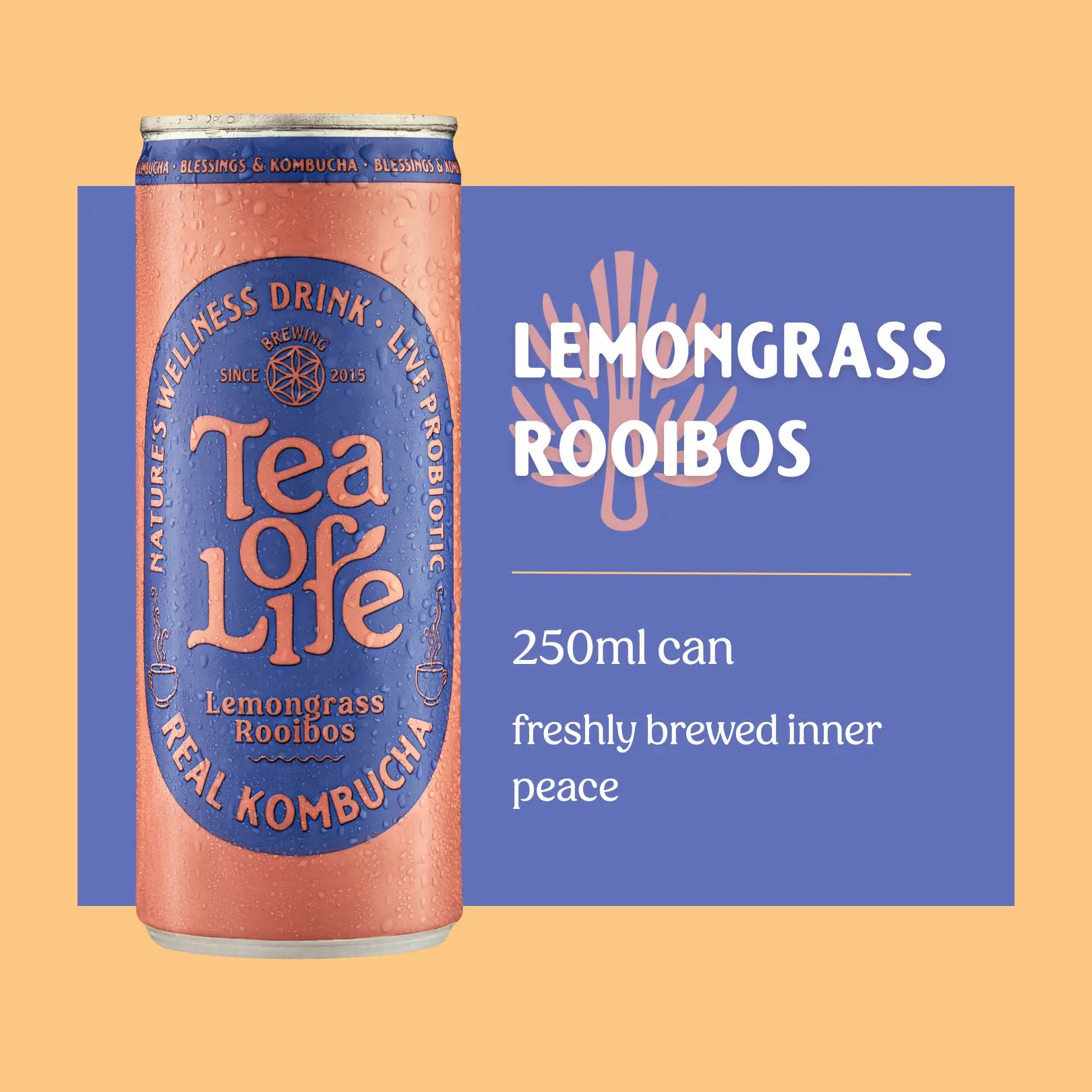 Lemongrass Rooibos Kombucha