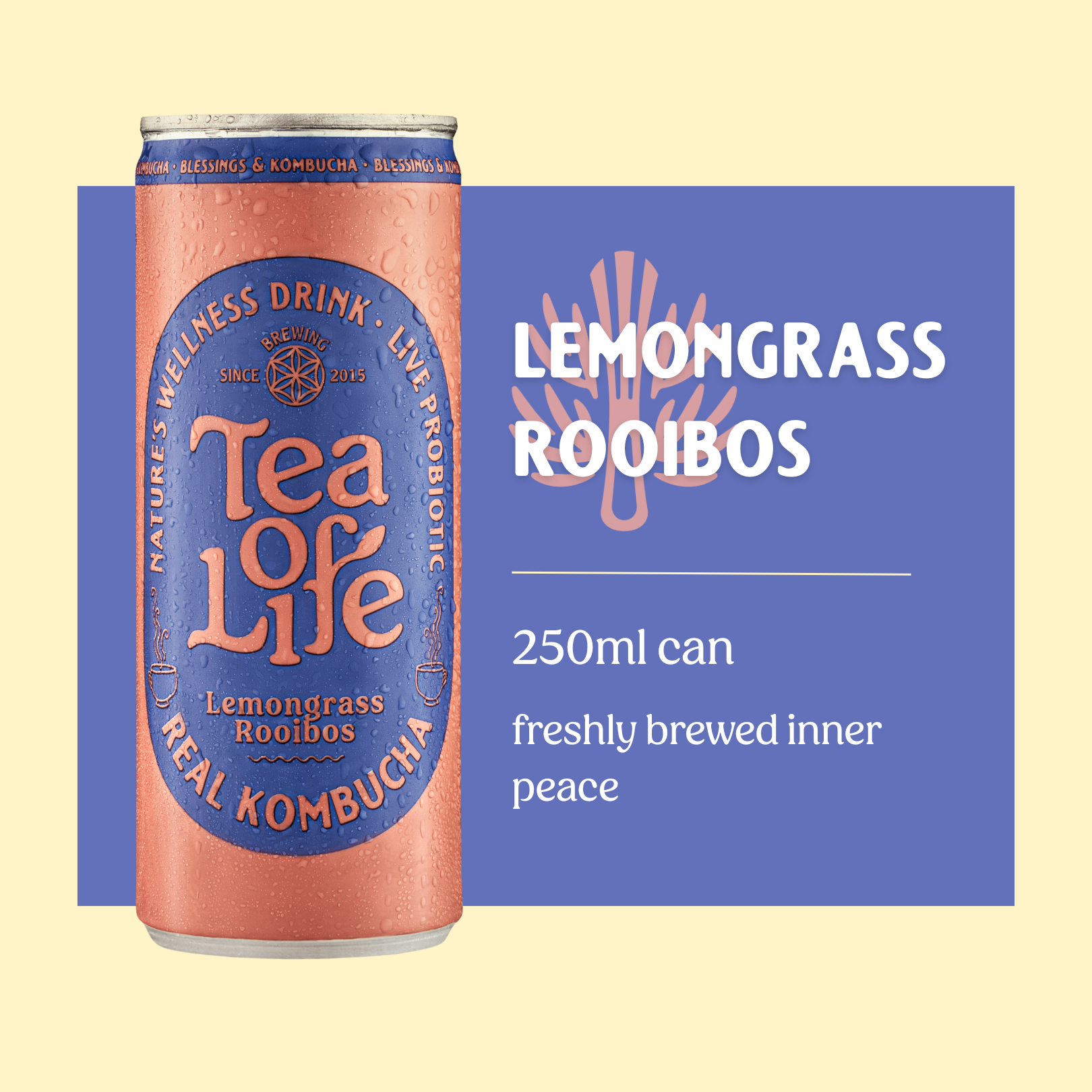 Lemongrass Rooibos Kombucha