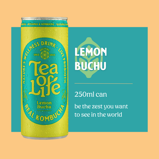 Lemon Buchu Kombucha