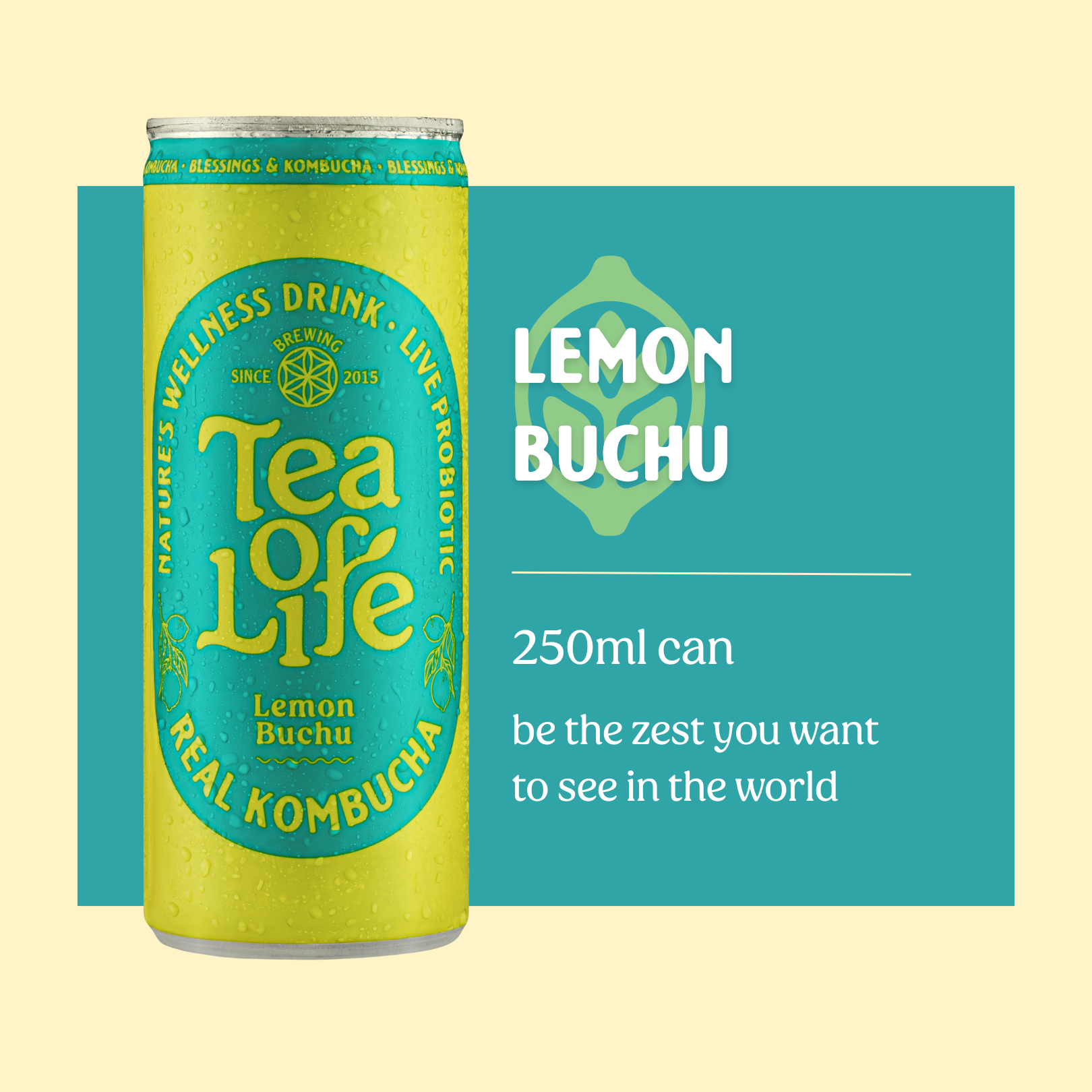 Lemon Buchu Kombucha