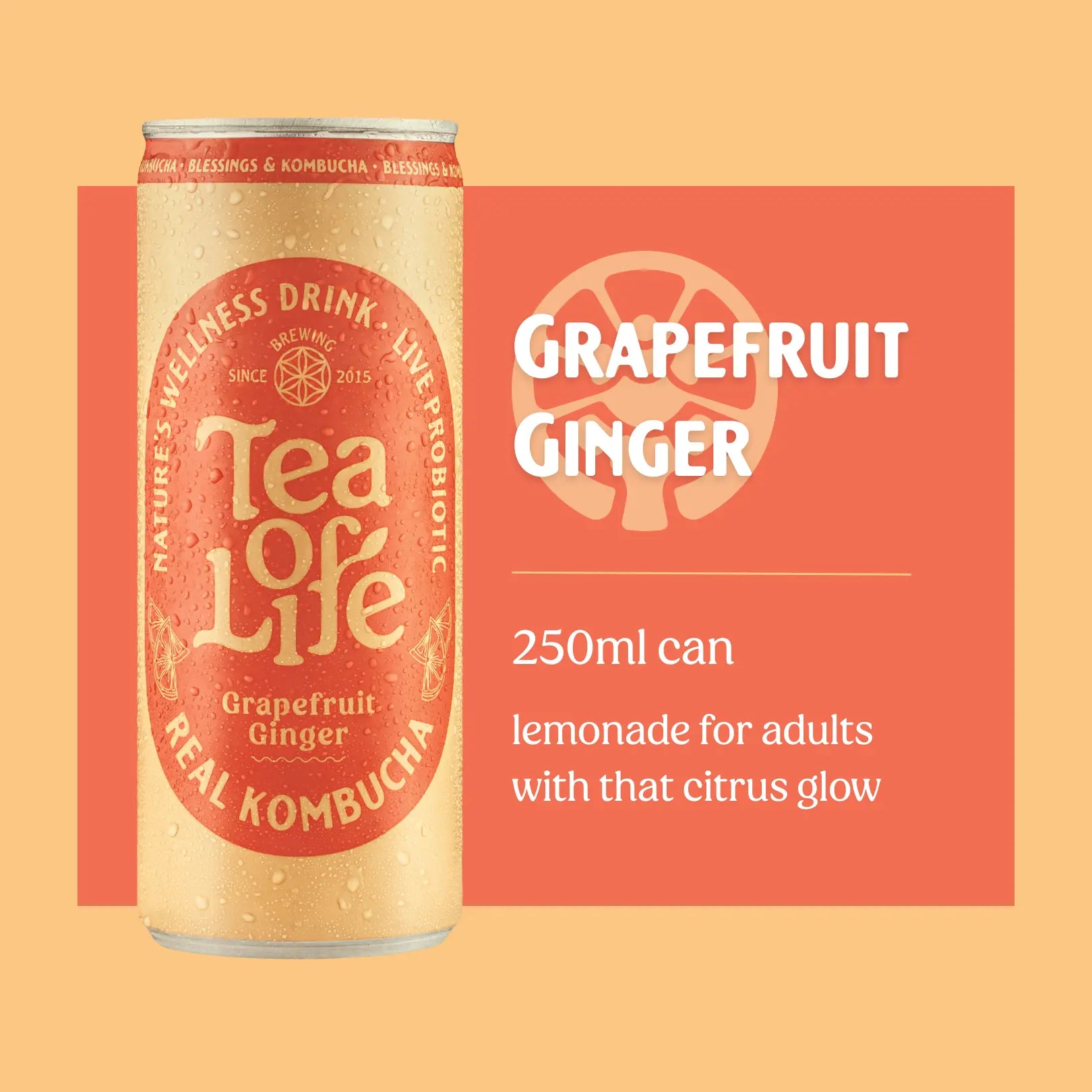 Grapefruit Ginger Kombucha