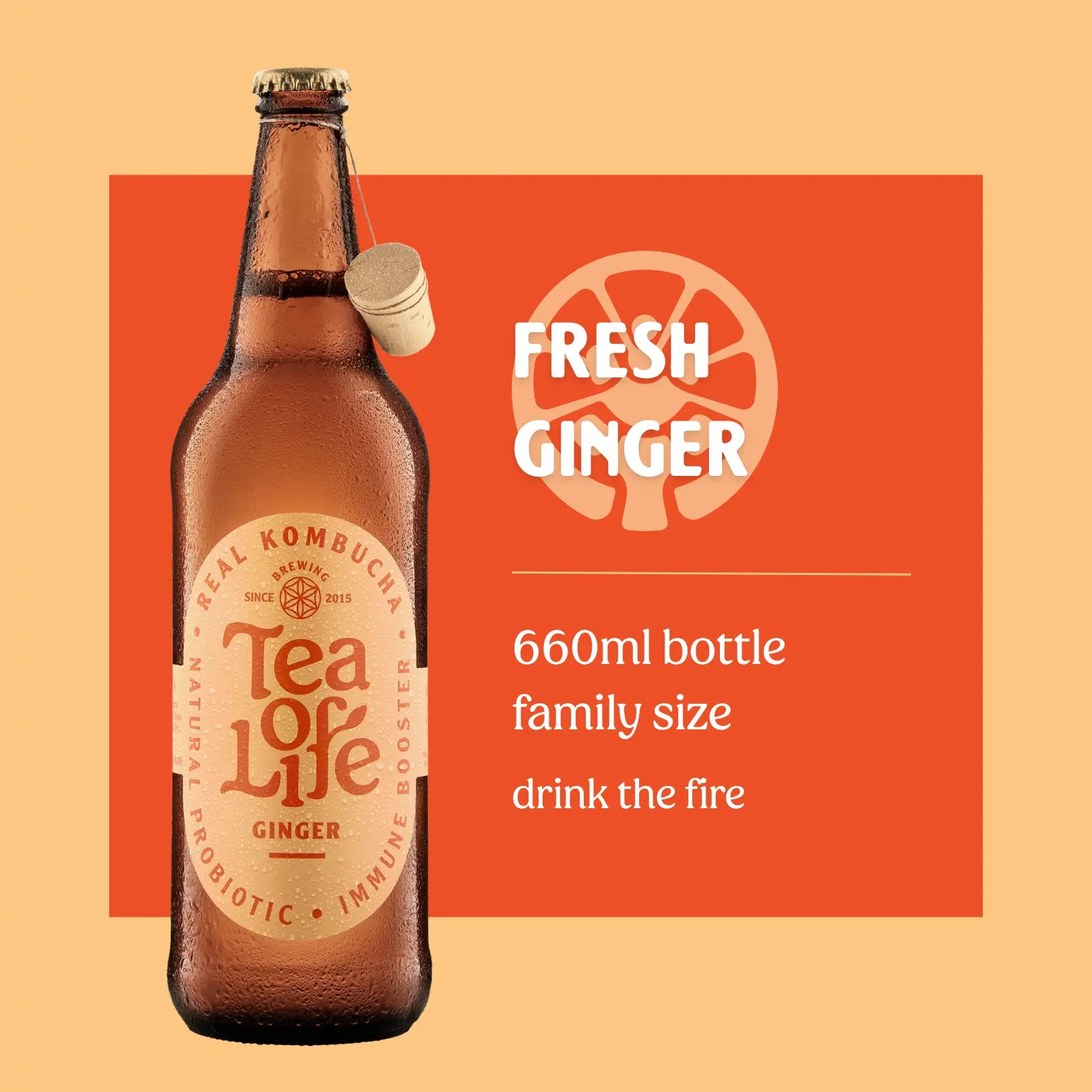 Family size Ginger Kombucha