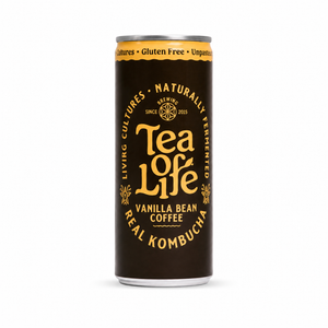 Kombucha Cans — Mixed 6-Pack