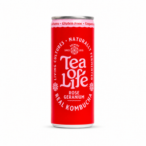 Kombucha Cans — Mixed 6-Pack