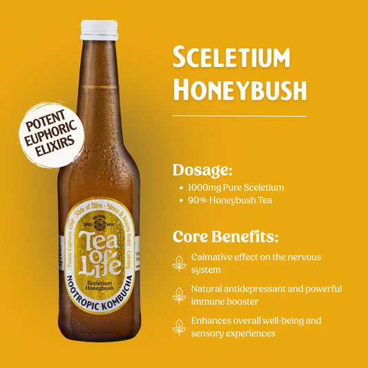 Sceletium Honeybush Kombucha
