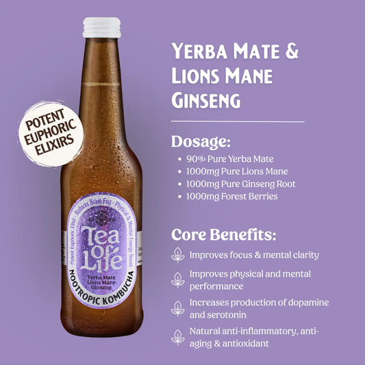 Yerba Mate & Lions Mane Ginseng Kombucha