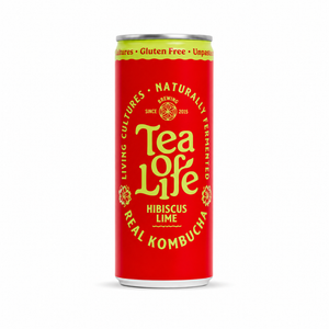 Kombucha Cans — Mixed 6-Pack