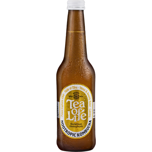 Sceletium, Honeybush Kombucha