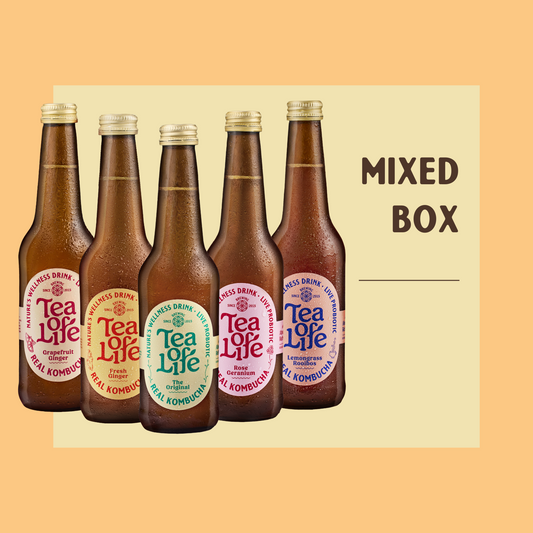 Mixed Box of Kombucha