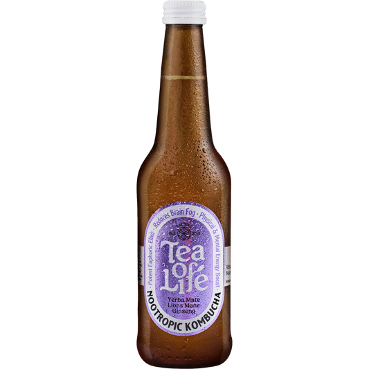 Yerba Mate, Lions Mane, & Ginseng Kombucha