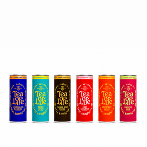 Kombucha Cans — Mixed 6-Pack