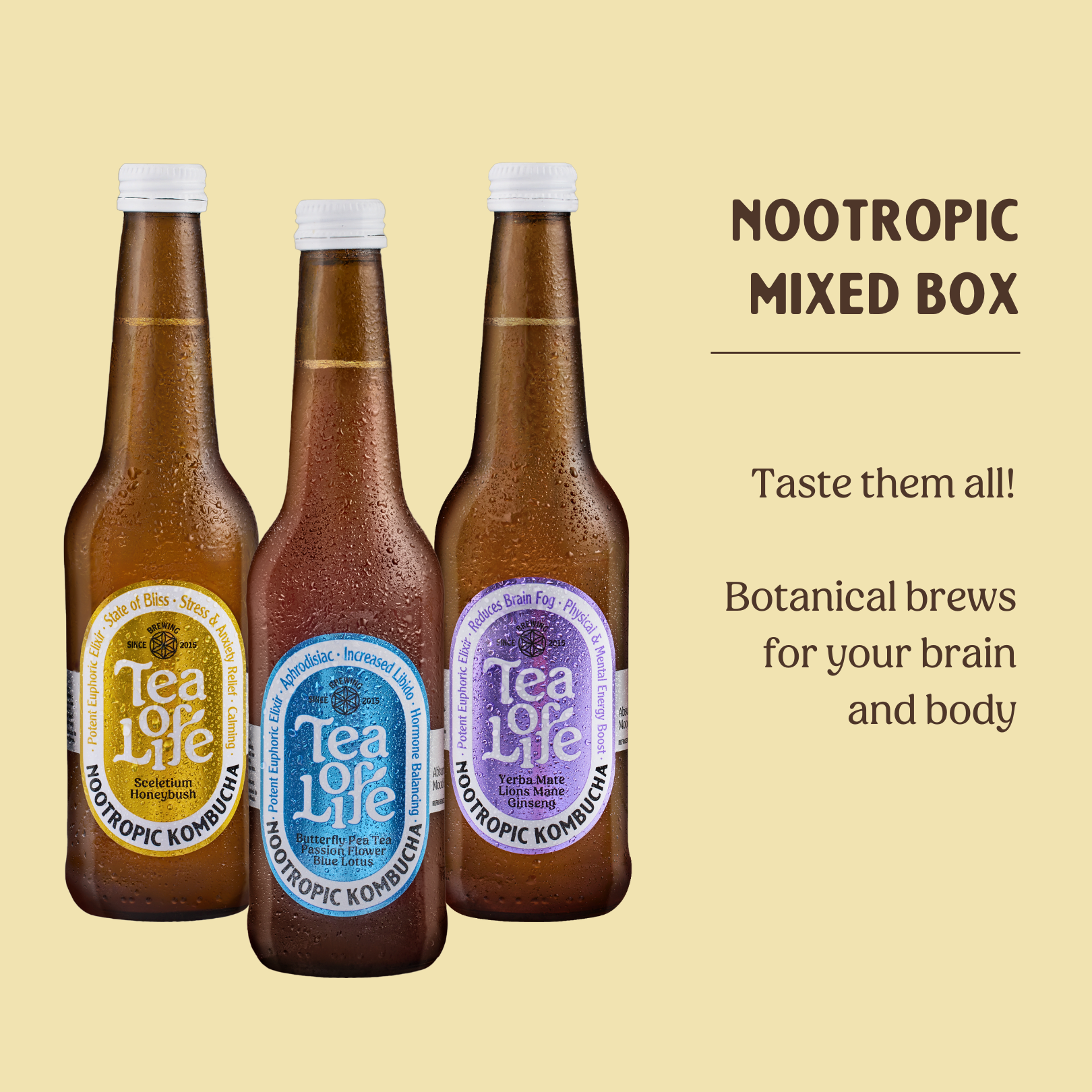 Mixed Box Nootropic Kombucha