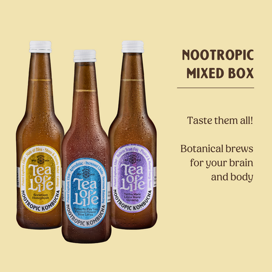 Mixed Box Nootropic Kombucha