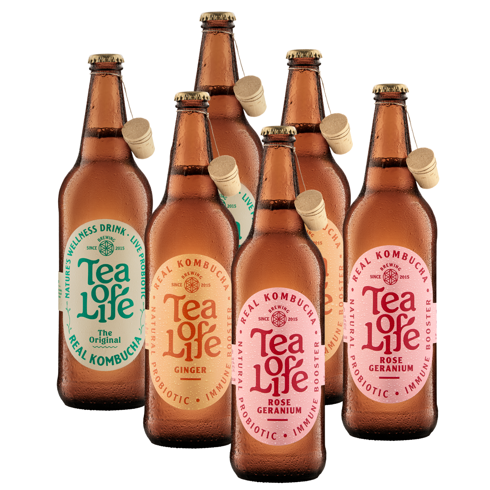 660ml Family Size Kombucha – Mixed Box