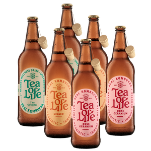 660ml Family Size Kombucha – Mixed Box