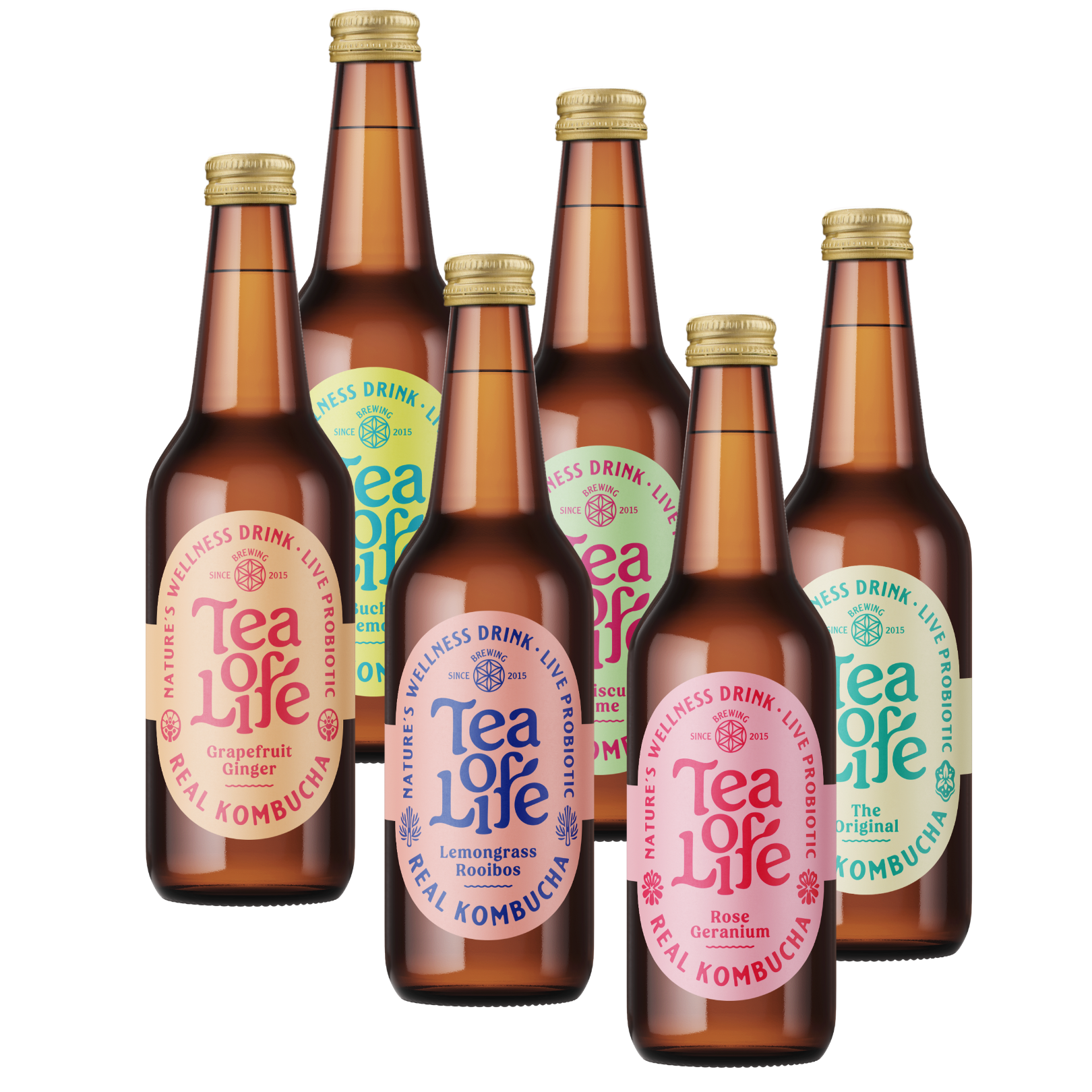 340ml Kombucha - Mixed Box