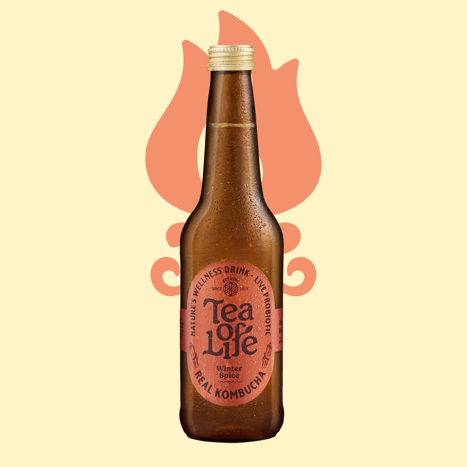 Winter Spice Kombucha