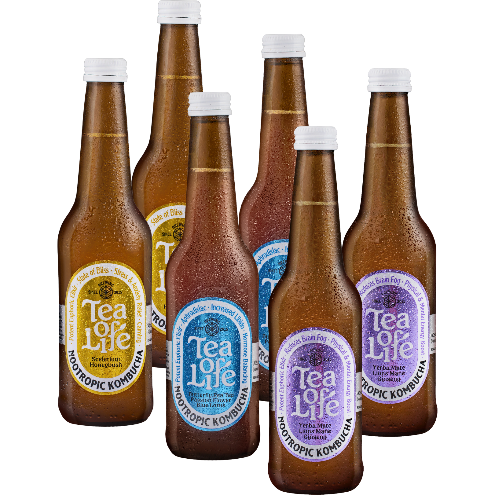 Nootropic Kombucha - Mixed Box