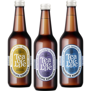 Nootropic Kombucha - Mixed Box