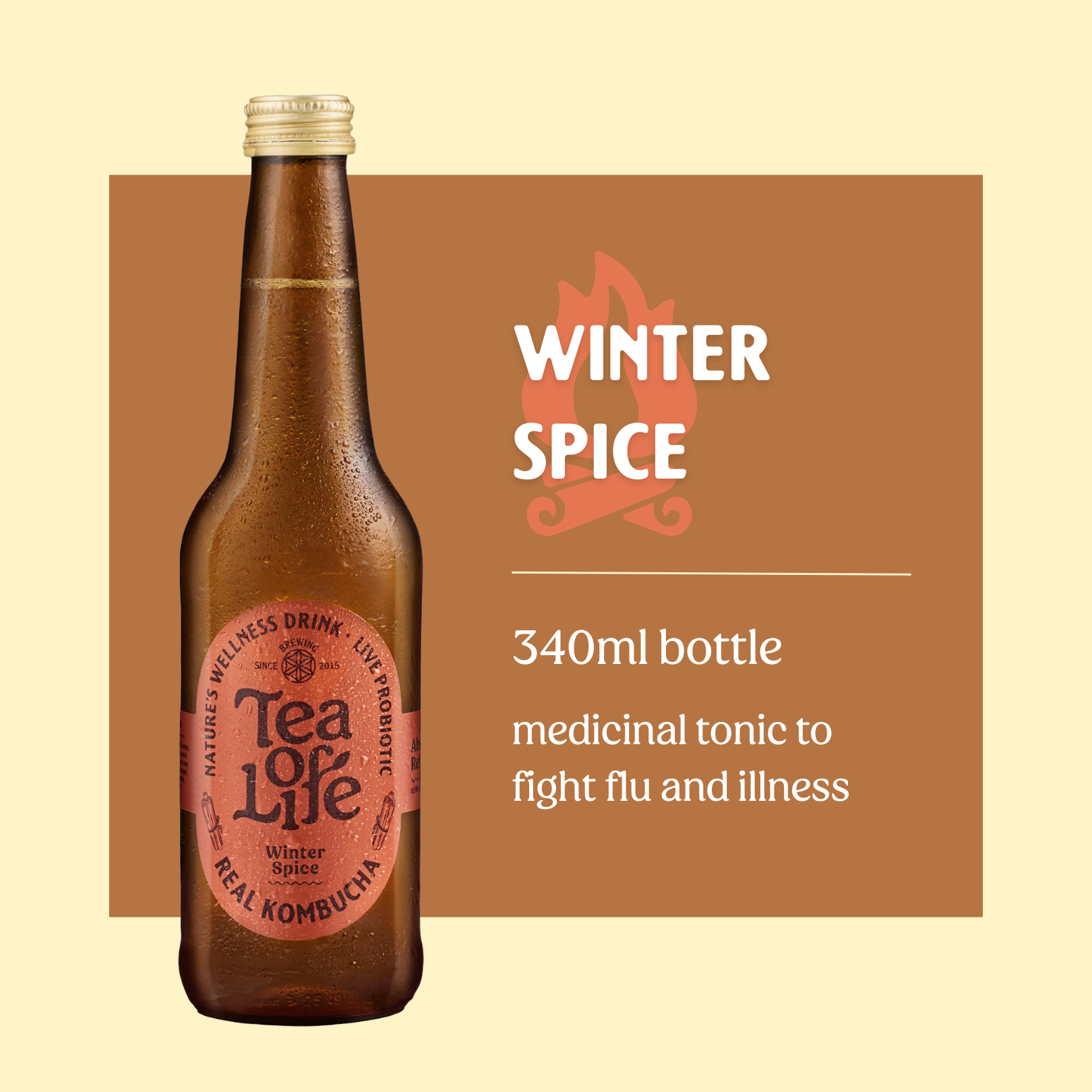 Winter Spice Kombucha