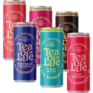 Kombucha Cans — Mixed 6-Pack