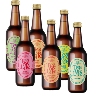 340ml Kombucha - Mixed Box