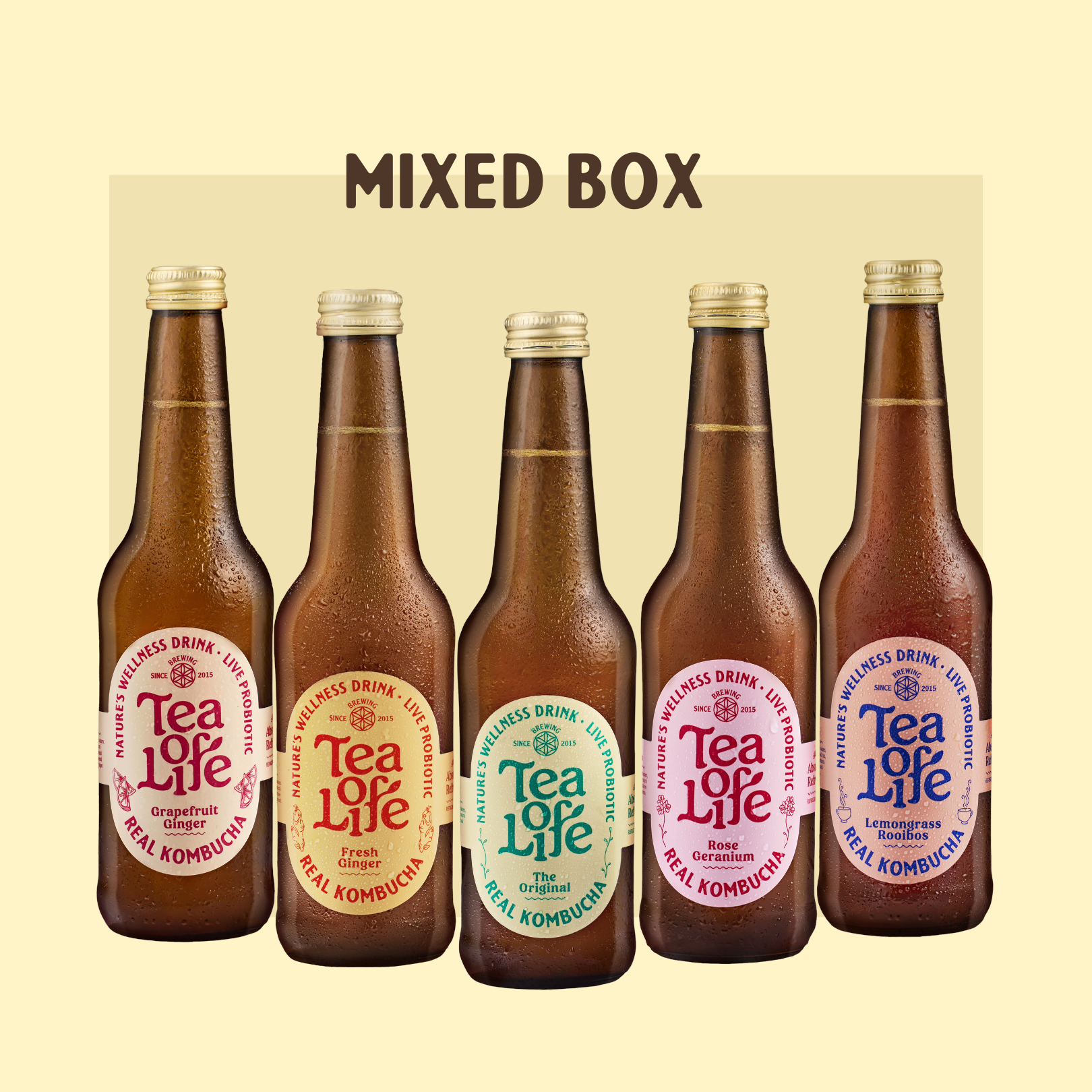 Mixed Box of Kombucha