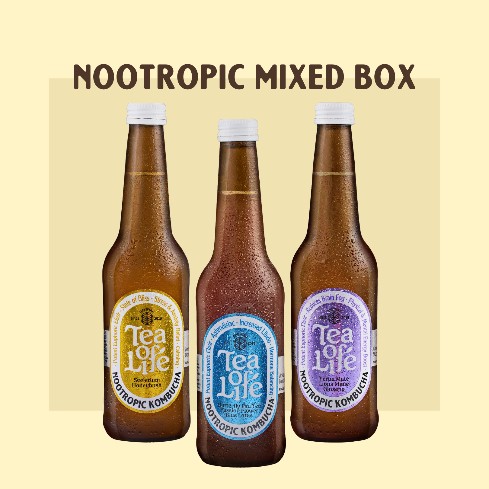 Mixed Box Nootropic Kombucha