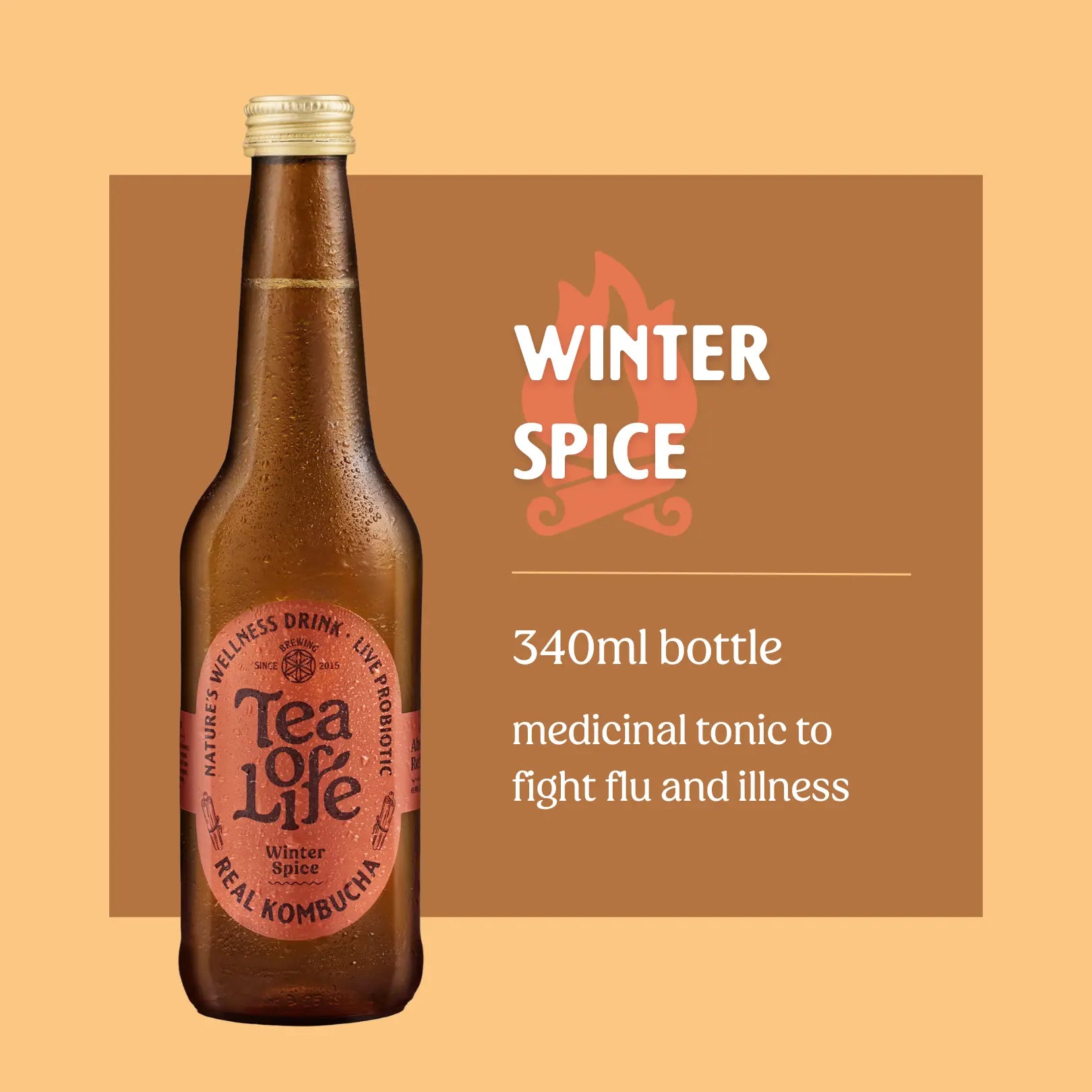 Winter Spice Kombucha