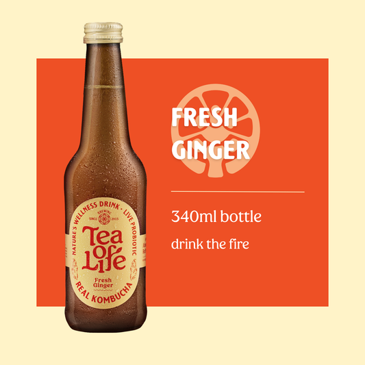 Fresh Ginger Kombucha
