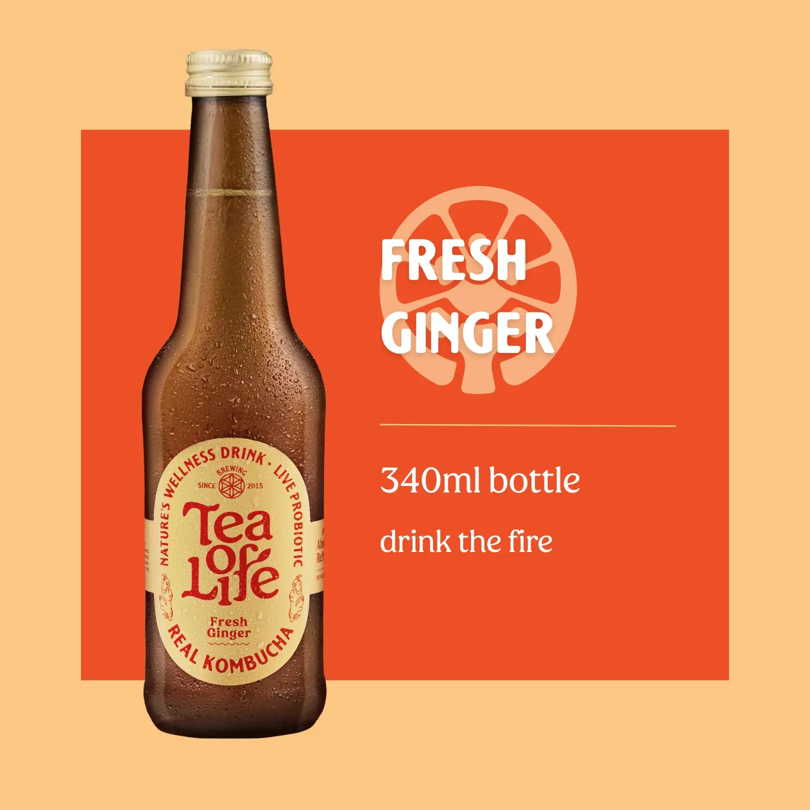 Fresh Ginger Kombucha