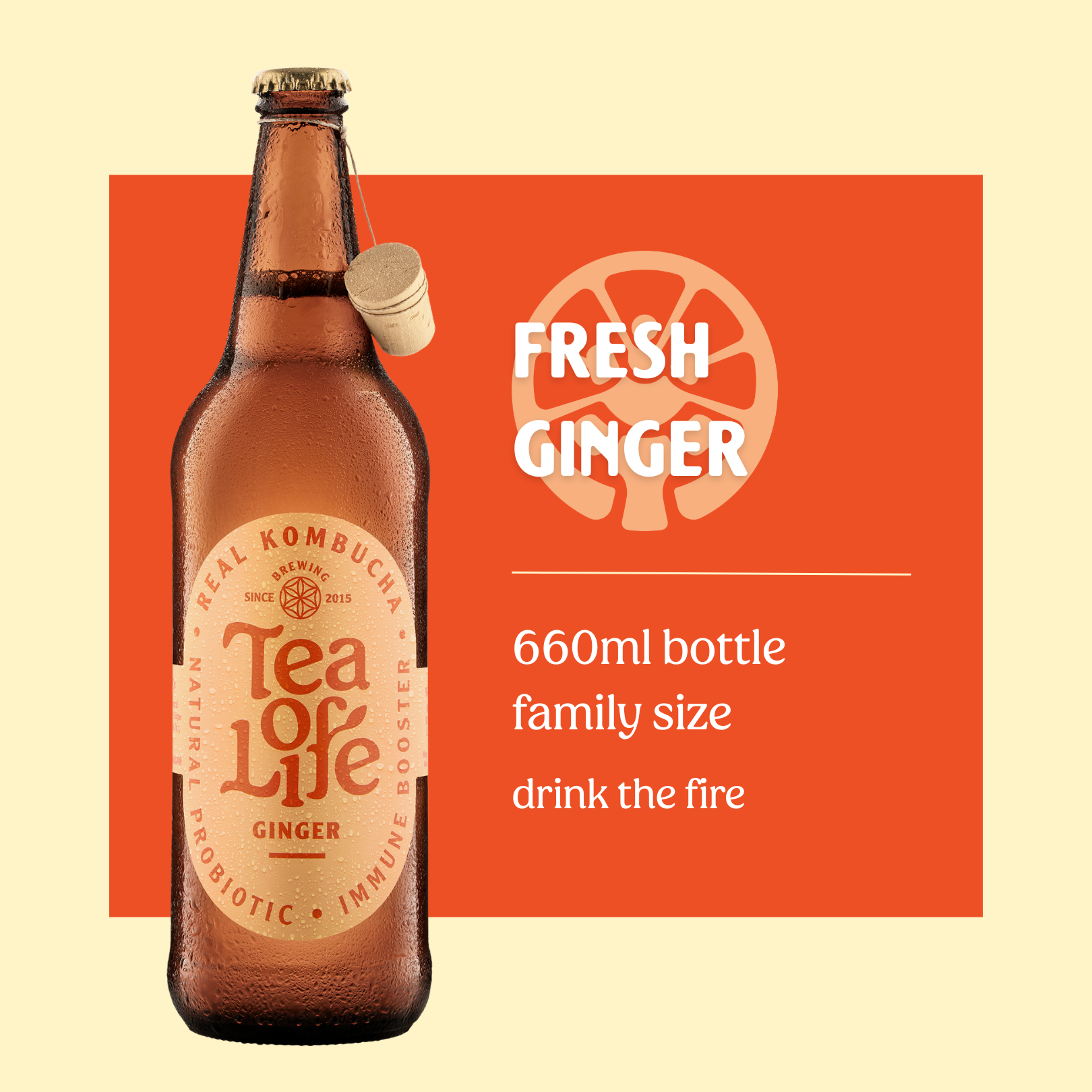 Family size Ginger Kombucha