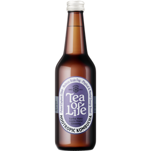 Yerba Mate, Lions Mane, & Ginseng Kombucha