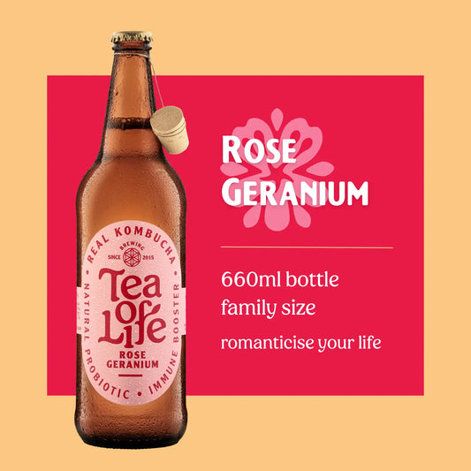 Family size Rose Geranium Kombucha