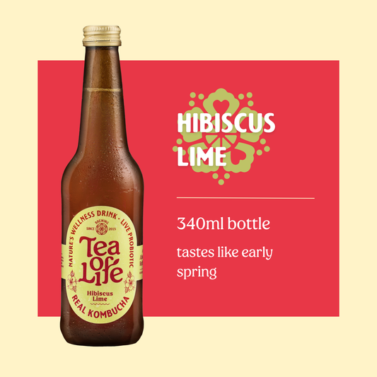 Hibiscus Lime Kombucha