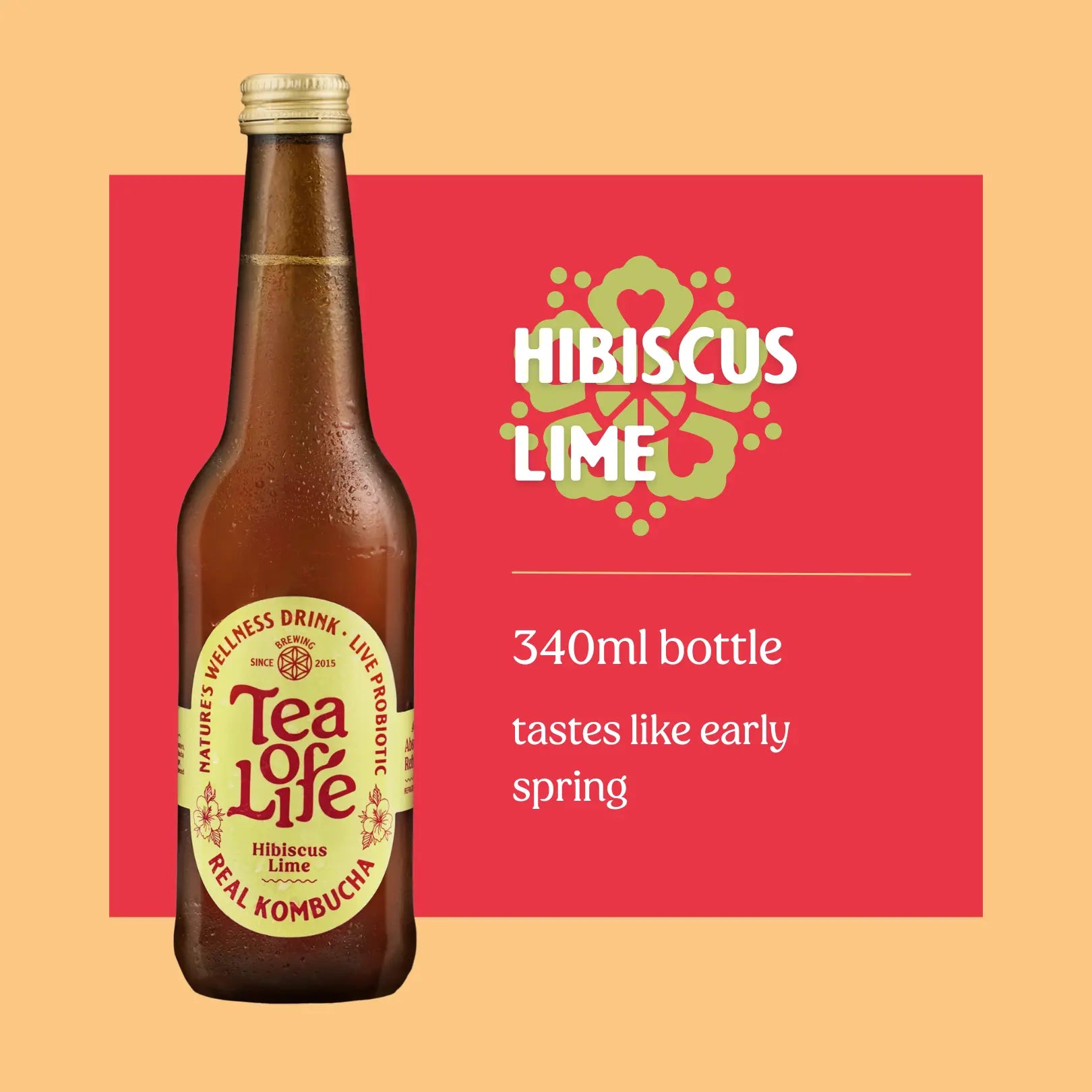 Hibiscus Lime Kombucha