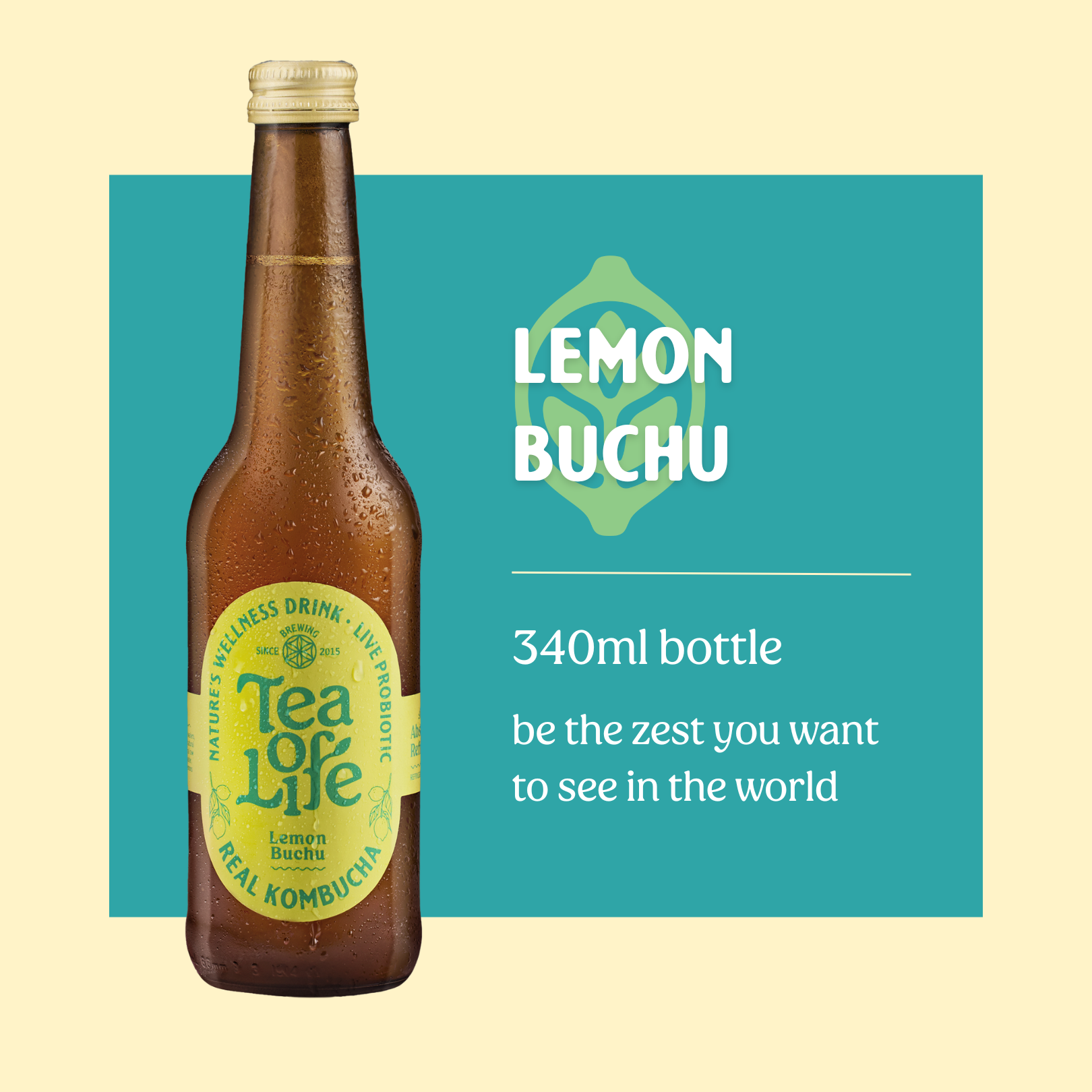Lemon Buchu Kombucha