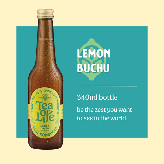 Lemon Buchu Kombucha