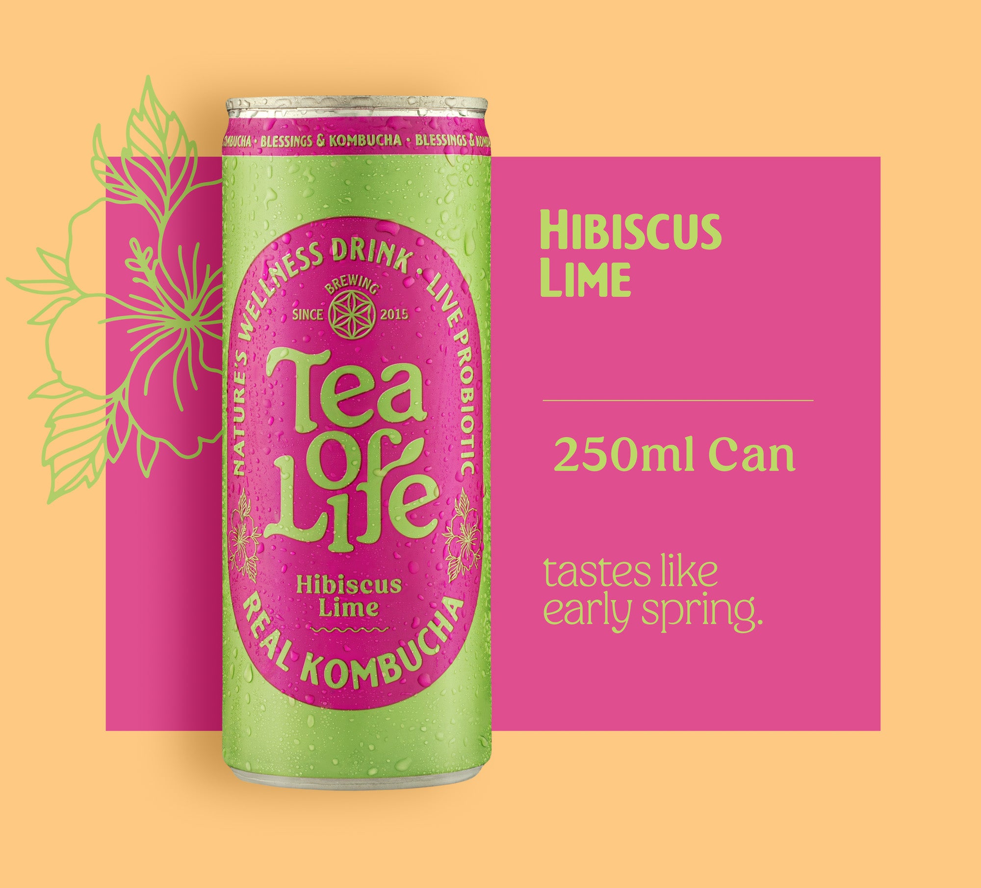 Hibiscus Lime